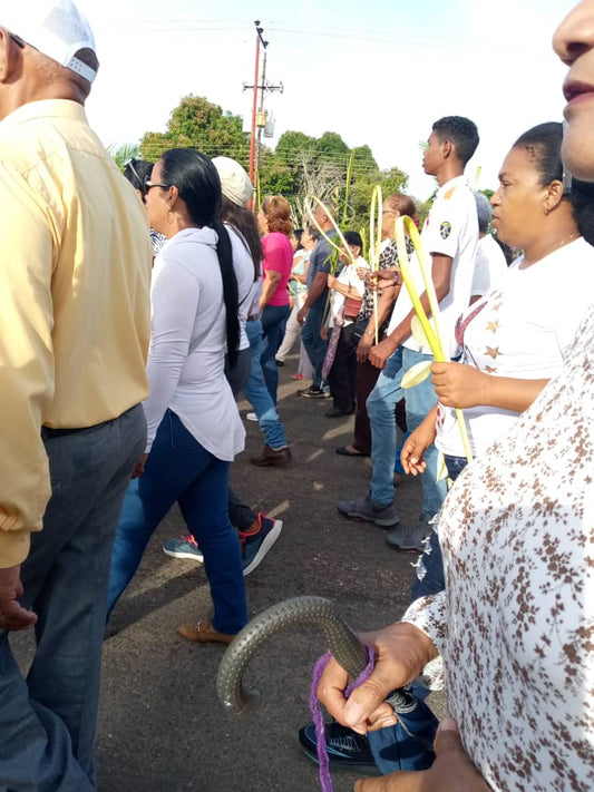 Bendición de las  palmas y ramos de Olivo inició conmemoración de la pasión, muerte y resurrección de Jesucristo