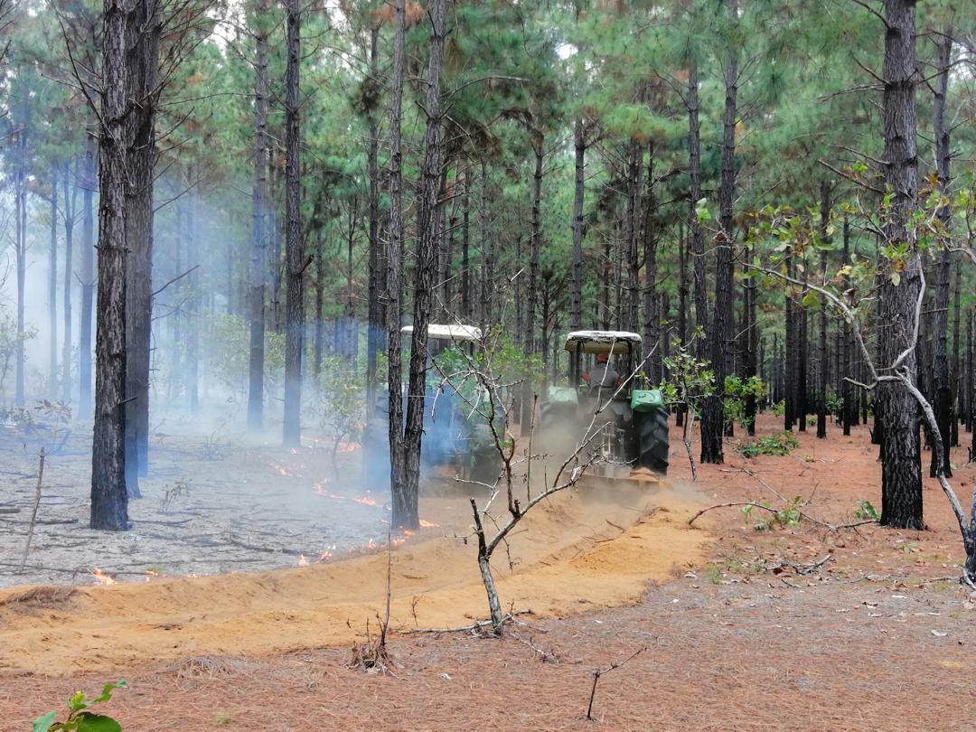 Maderas del Orinoco ha logrado extinguir el fuego en un 95% en Uverito