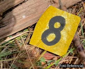 Desaparición de un joven de 26 años culmina en un trágico hallazgo